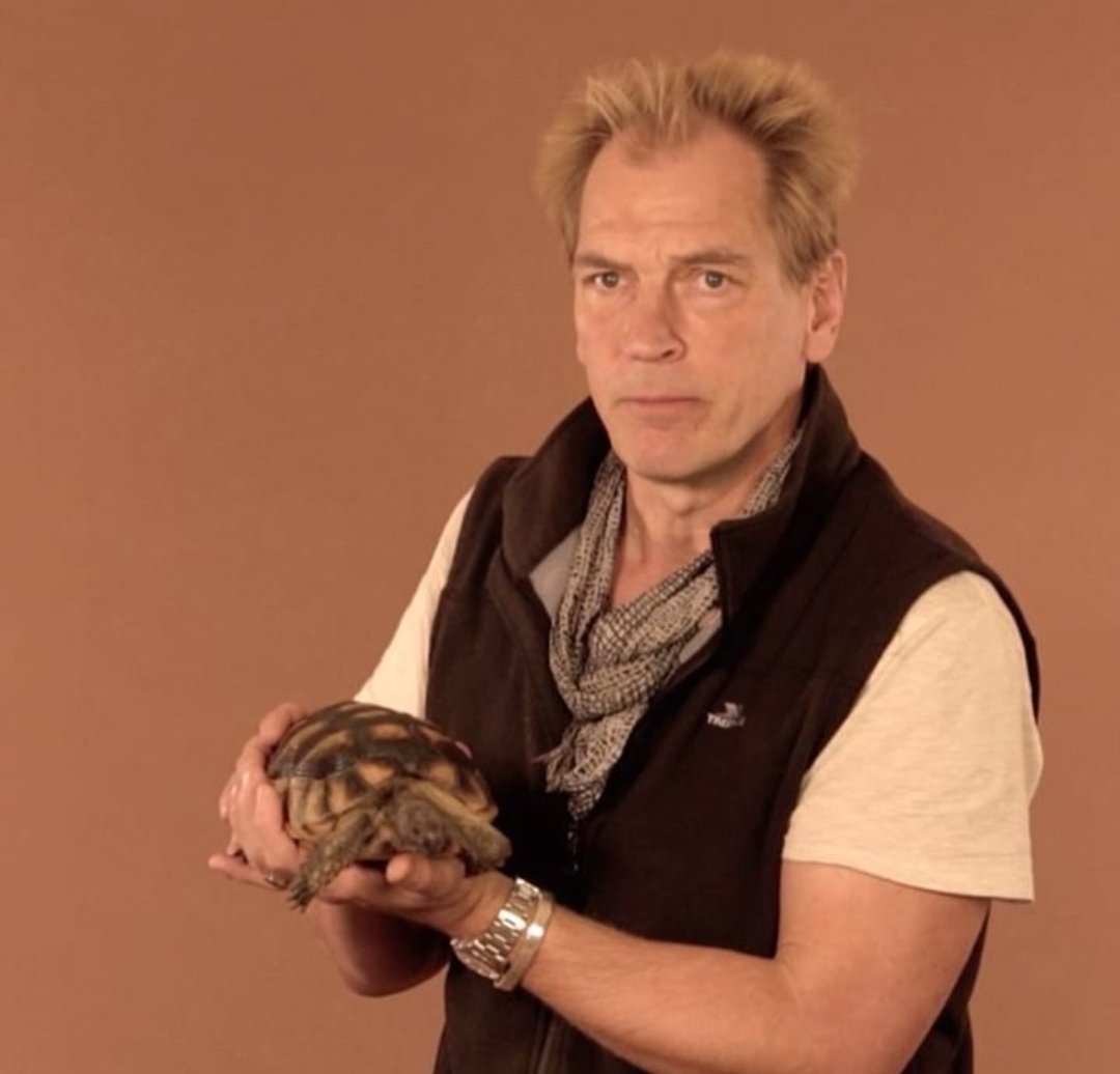 Dangerous Search Continues for Missing Actor Julian Sands: Outcome May Not be Favorable